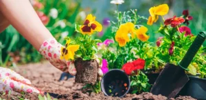 What Zone Am I in for Gardening? A Complete Guide to Finding Your Plant Hardiness Zone